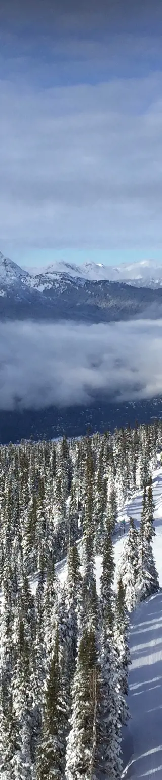 Entdecke das Naturparadies von Whistler